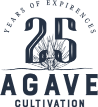 25 logo